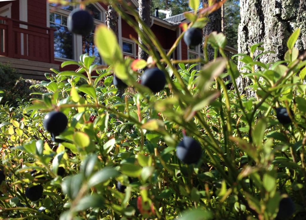 Otsopirtti: Maria And Otso Apartments Kolinkylä Szoba fotó